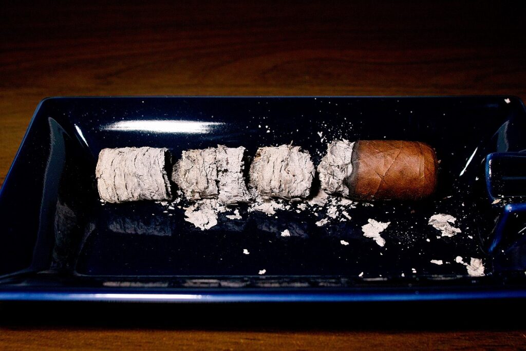 プラセンシア レゼルバ オリジナル ロブスト/Plasencia Reserva Original Robusto Cigar Review｜葉巻/シガー初心者の喫煙レビューブログ｜喫煙終了後ファイナルアッシュ