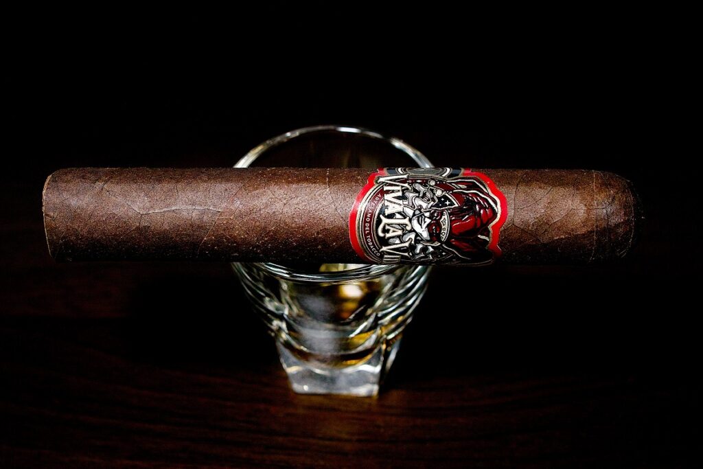 ビバ・ラ・ヴィーダ ロブスト/Viva la Vida Robusto Cigar Review|葉巻/シガー初心者の喫煙レビューブログ|ギャラリー1