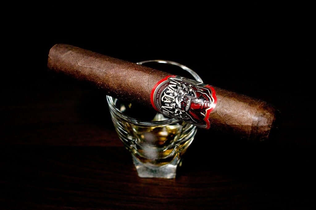 ビバ・ラ・ヴィーダ ロブスト/Viva la Vida Robusto Cigar Review|葉巻/シガー初心者の喫煙レビューブログ|ギャラリー2