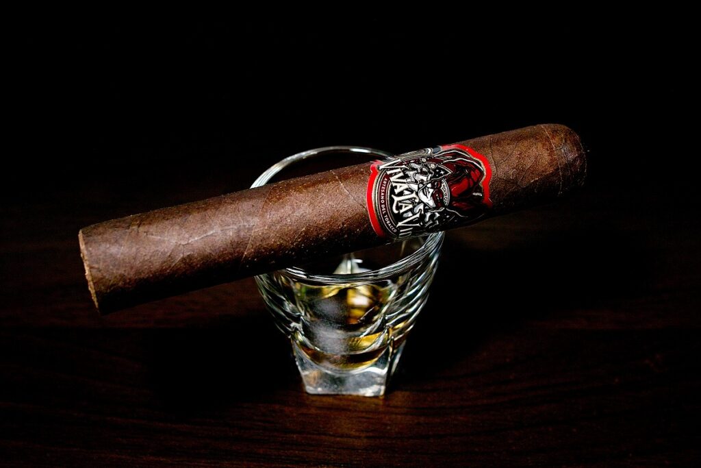 ビバ・ラ・ヴィーダ ロブスト/Viva la Vida Robusto Cigar Review|葉巻/シガー初心者の喫煙レビューブログ|ギャラリー3