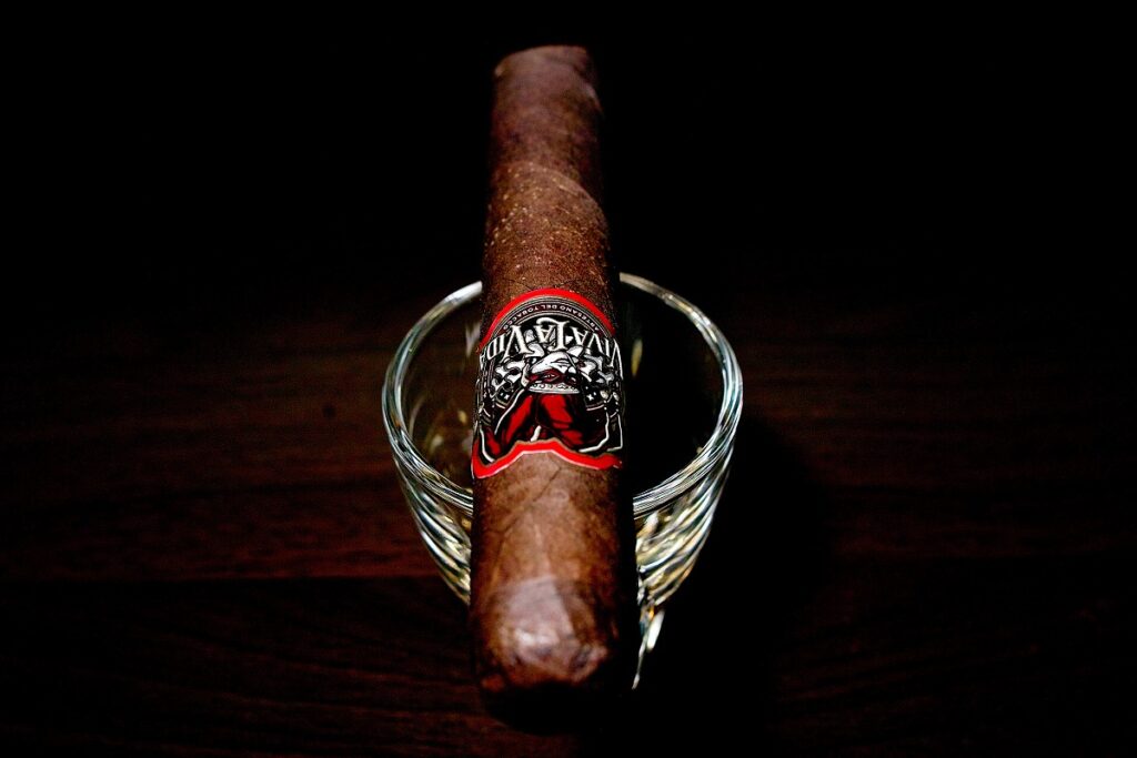 ビバ・ラ・ヴィーダ ロブスト/Viva la Vida Robusto Cigar Review|葉巻/シガー初心者の喫煙レビューブログ|ギャラリー4