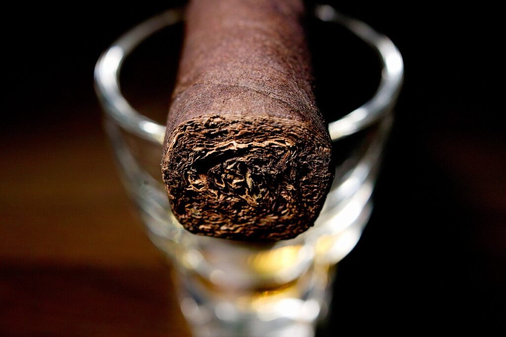 ビバ・ラ・ヴィーダ ロブスト/Viva la Vida Robusto Cigar Review|葉巻/シガー初心者の喫煙レビューブログ|ギャラリー5