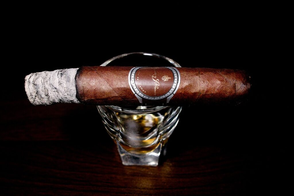 クエルボ・イ・ソブリノス ロブスト/Cuervo y Sobrinos Historiador Robusto Cigar Review|葉巻/シガー初心者の喫煙レビューブログ|喫煙序盤の終わり頃ファーストサード