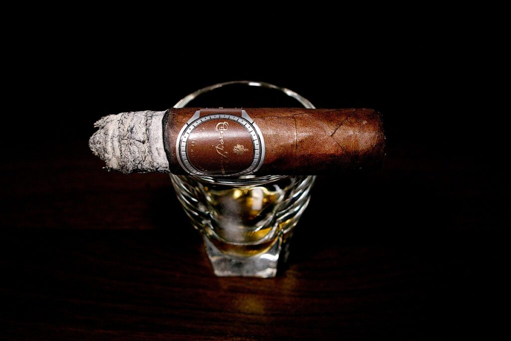 クエルボ・イ・ソブリノス ロブスト/Cuervo y Sobrinos Historiador Robusto Cigar Review|葉巻/シガー初心者の喫煙レビューブログ|喫煙中盤の終わり頃セカンドサード