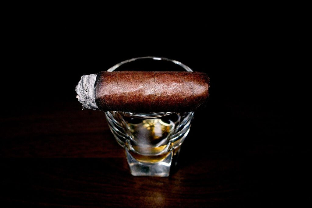 クエルボ・イ・ソブリノス ロブスト/Cuervo y Sobrinos Historiador Robusto Cigar Review|葉巻/シガー初心者の喫煙レビューブログ|喫煙終盤ファイナルサード