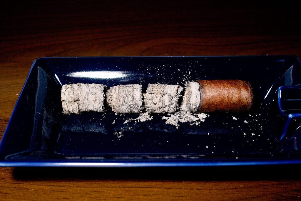 クエルボ・イ・ソブリノス ロブスト/Cuervo y Sobrinos Historiador Robusto Cigar Review|葉巻/シガー初心者の喫煙レビューブログ|喫煙終了後ファイナルアッシュ