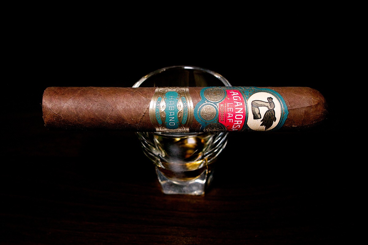 アガノルサリーフ ラ・バリダシオン ハバノ グランロブスト/Aganorsa Leaf La Validacion Habano Gran Robusto Cigar Review｜葉巻/シガー初心者の喫煙レビューブログ｜ギャラリー1