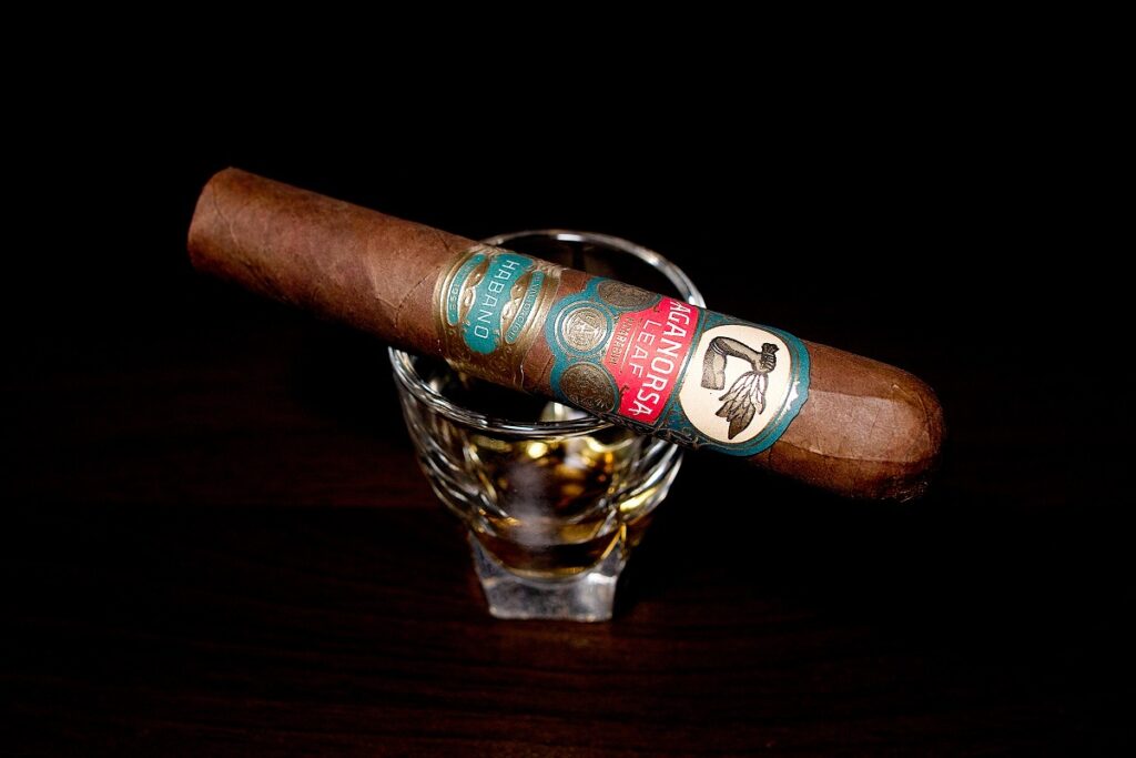 アガノルサリーフ ラ・バリダシオン ハバノ グランロブスト/Aganorsa Leaf La Validacion Habano Gran Robusto Cigar Review｜葉巻/シガー初心者の喫煙レビューブログ｜ギャラリー2