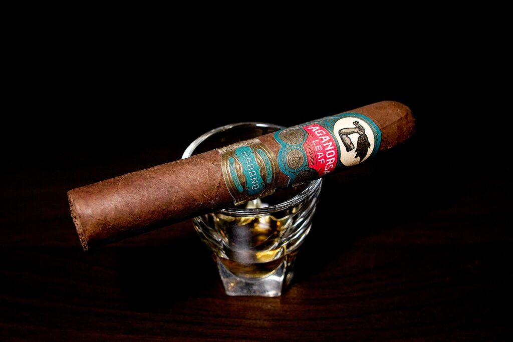 アガノルサリーフ ラ・バリダシオン ハバノ グランロブスト/Aganorsa Leaf La Validacion Habano Gran Robusto Cigar Review｜葉巻/シガー初心者の喫煙レビューブログ｜ギャラリー3