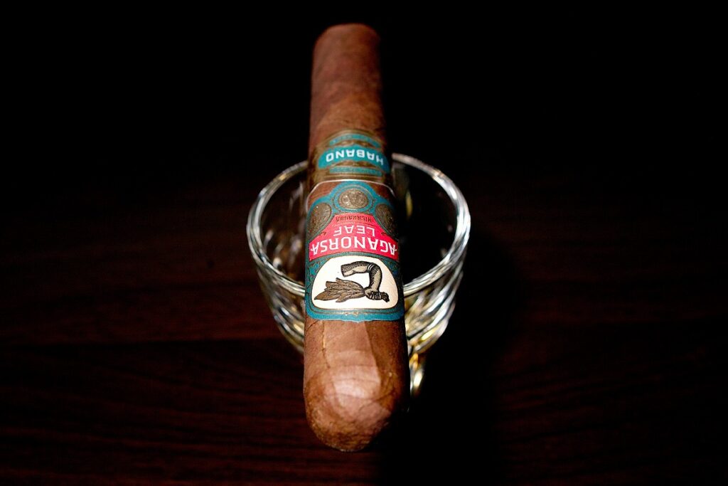 アガノルサリーフ ラ・バリダシオン ハバノ グランロブスト/Aganorsa Leaf La Validacion Habano Gran Robusto Cigar Review｜葉巻/シガー初心者の喫煙レビューブログ｜ギャラリー4