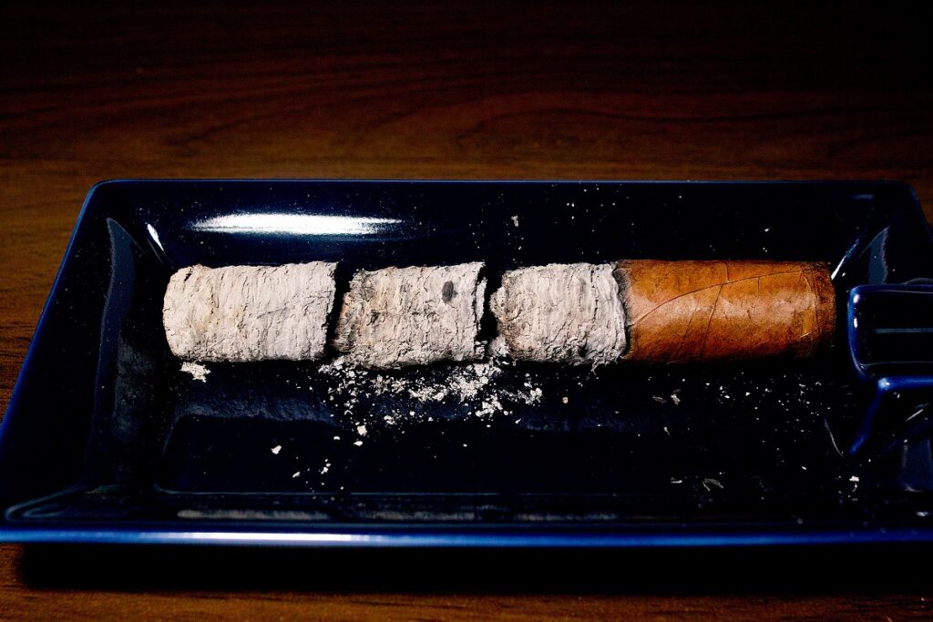 エル・タイタン・デ・ブロンズ レデンプション マイウェイ トロ/El Titan de Bronze Redemption My Way Toro Cigar Review|葉巻/シガー初心者の喫煙レビューブログ|喫煙終了後ファイナルアッシュ