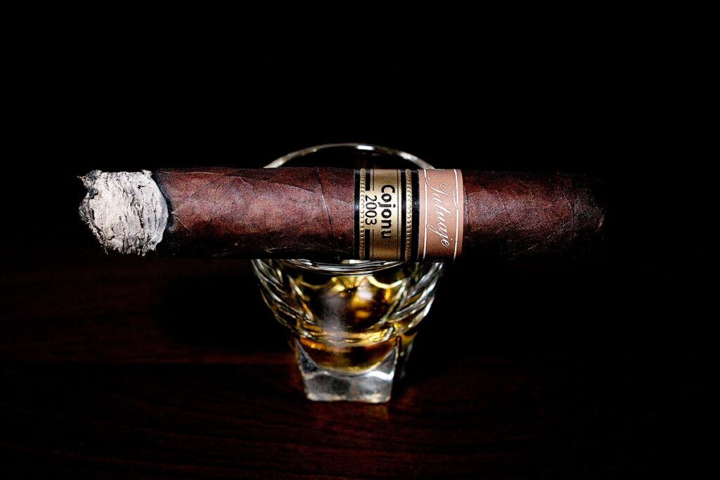 タトゥアヘ コホヌ 2003/Tatuaje Cojonu 2003 Cigar Review｜葉巻/シガー初心者の喫煙レビューブログ｜喫煙中盤セカンドサード