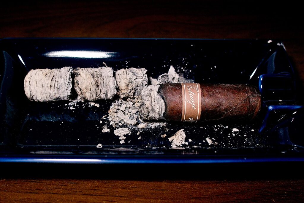 タトゥアヘ コホヌ 2003/Tatuaje Cojonu 2003 Cigar Review｜葉巻/シガー初心者の喫煙レビューブログ｜喫煙終了後ファイナルアッシュ