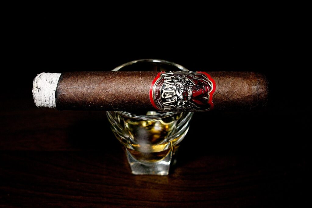 ビバ・ラ・ヴィーダ ロブスト/Viva la Vida Robusto Cigar Review|葉巻/シガー初心者の喫煙レビューブログ|喫煙序盤ファーストサード