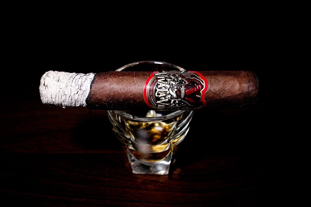 ビバ・ラ・ヴィーダ ロブスト/Viva la Vida Robusto Cigar Review|葉巻/シガー初心者の喫煙レビューブログ|喫煙序盤の終わり頃ファーストサード