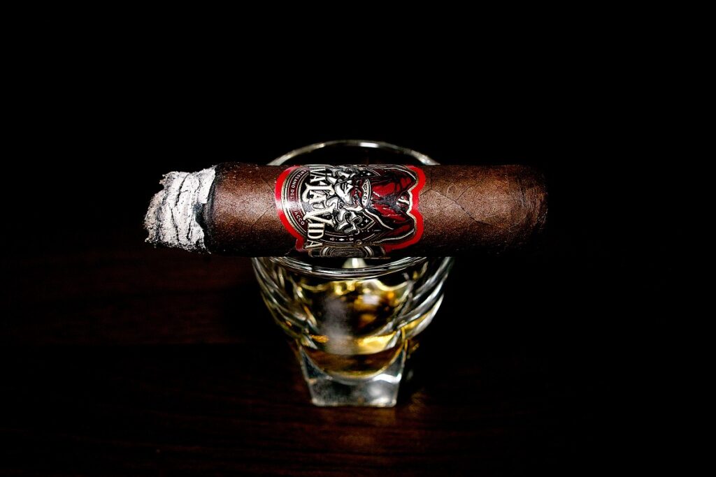 ビバ・ラ・ヴィーダ ロブスト/Viva la Vida Robusto Cigar Review|葉巻/シガー初心者の喫煙レビューブログ|喫煙中盤セカンドサード