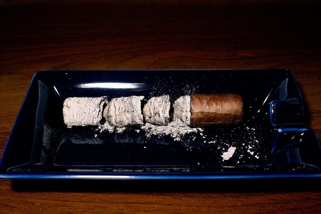 ビバ・ラ・ヴィーダ ロブスト/Viva la Vida Robusto Cigar Review|葉巻/シガー初心者の喫煙レビューブログ|喫煙終了後ファイナルアッシュ