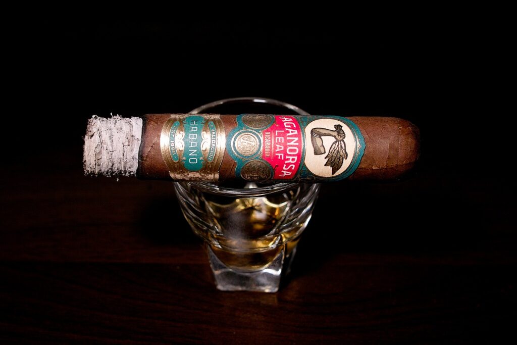 アガノルサリーフ ラ・バリダシオン ハバノ グランロブスト/Aganorsa Leaf La Validacion Habano Gran Robusto Cigar Review|葉巻/シガー初心者の喫煙レビューブログ|喫煙序盤ファーストサード