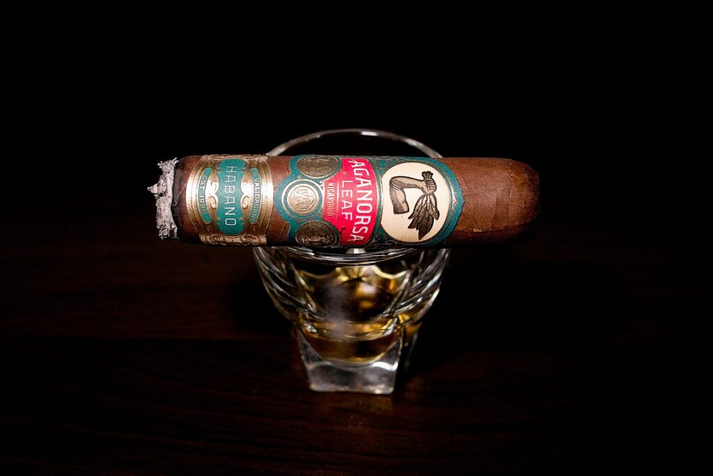 アガノルサリーフ ラ・バリダシオン ハバノ グランロブスト/Aganorsa Leaf La Validacion Habano Gran Robusto Cigar Review|葉巻/シガー初心者の喫煙レビューブログ|喫煙中盤セカンドサード