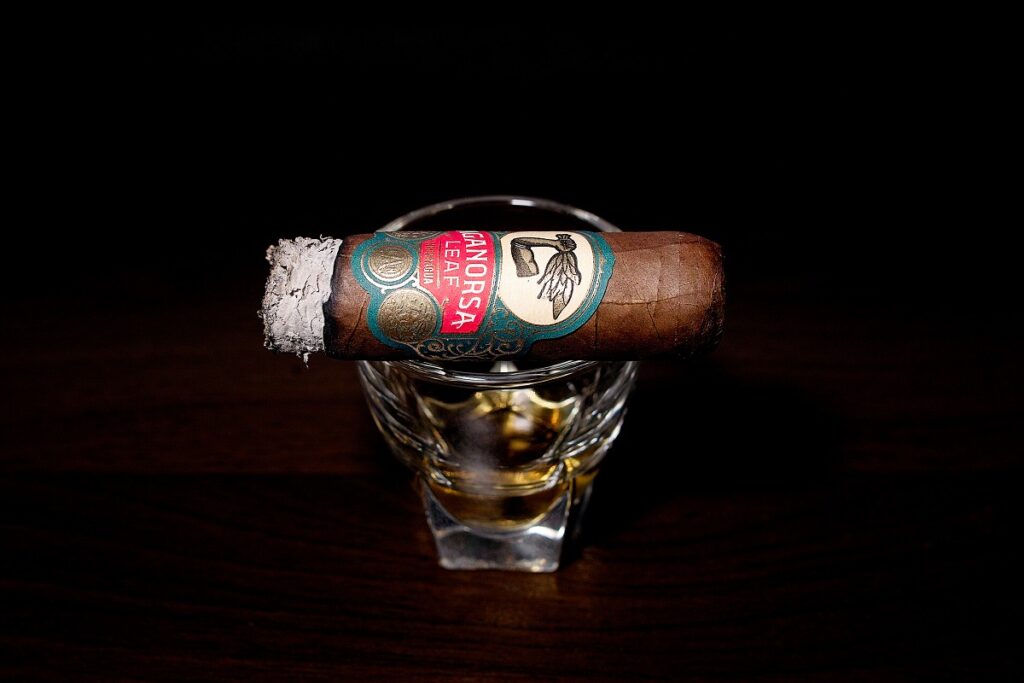 アガノルサリーフ ラ・バリダシオン ハバノ グランロブスト/Aganorsa Leaf La Validacion Habano Gran Robusto Cigar Review|葉巻/シガー初心者の喫煙レビューブログ|喫煙終盤ファイナルサード