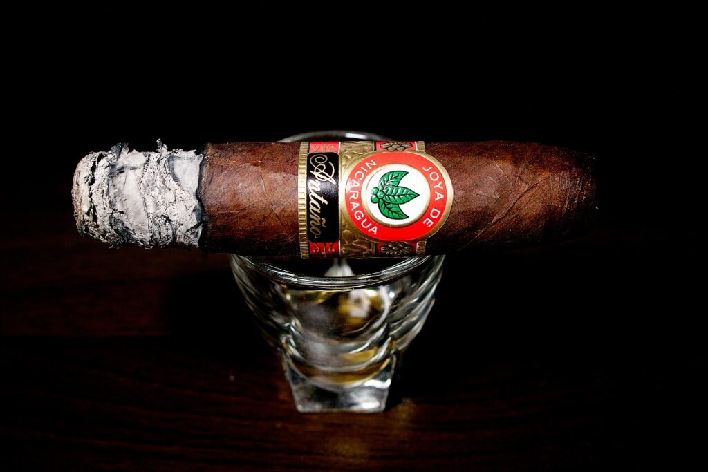 ホヤ・デ・ニカラグア アンターニョ 1970 グランコンスル/Joya de Nicaragua Antano 1970 Gran Consul Cigar Review｜葉巻/シガー初心者の喫煙レビューブログ｜喫煙序盤の終わり頃ファーストサード