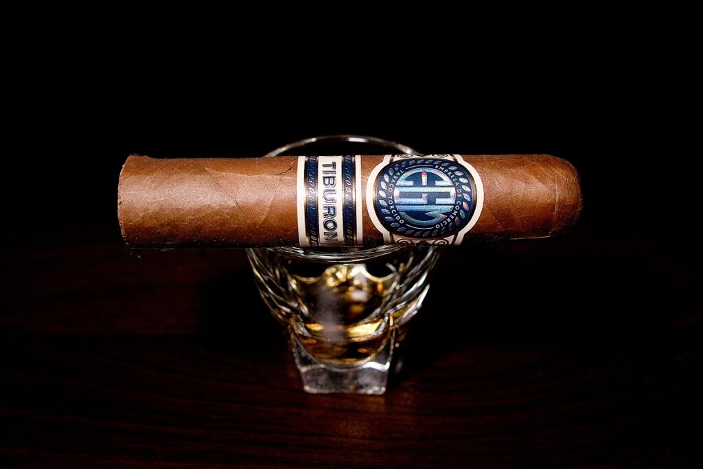 EGM ティブロネス/EGM Tiburones Cigar Review｜葉巻/シガー初心者の喫煙レビューブログ｜ギャラリー1