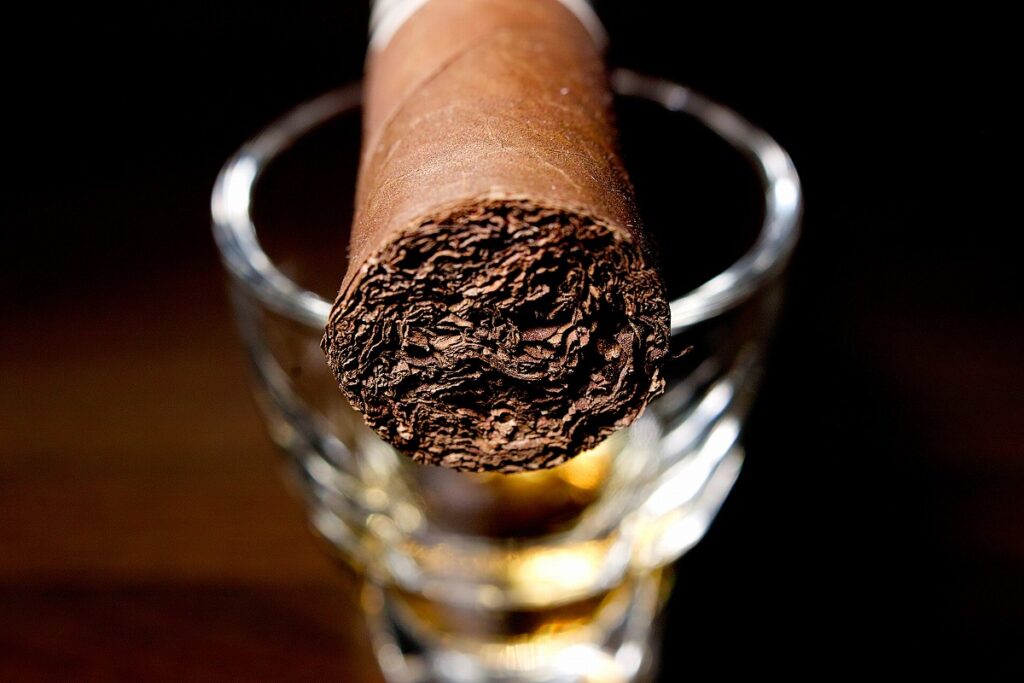 EGM ティブロネス/EGM Tiburones Cigar Review｜葉巻/シガー初心者の喫煙レビューブログ｜ギャラリー5