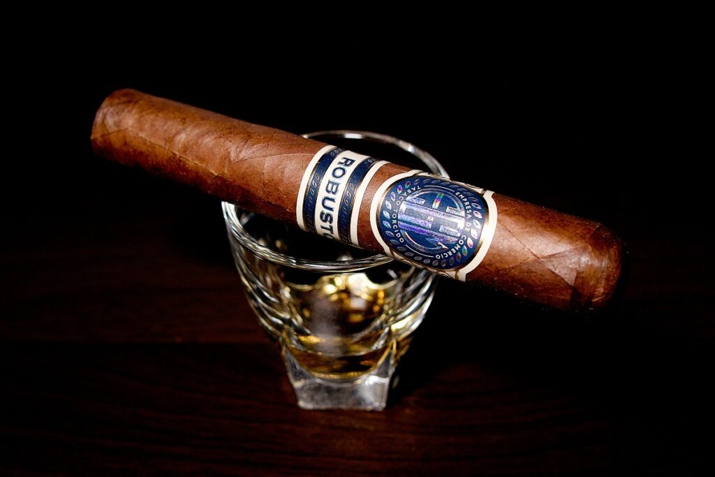 EGM ロブストス/EGM Robustos Cigar Review｜葉巻/シガー初心者の喫煙レビューブログ｜ギャラリー2