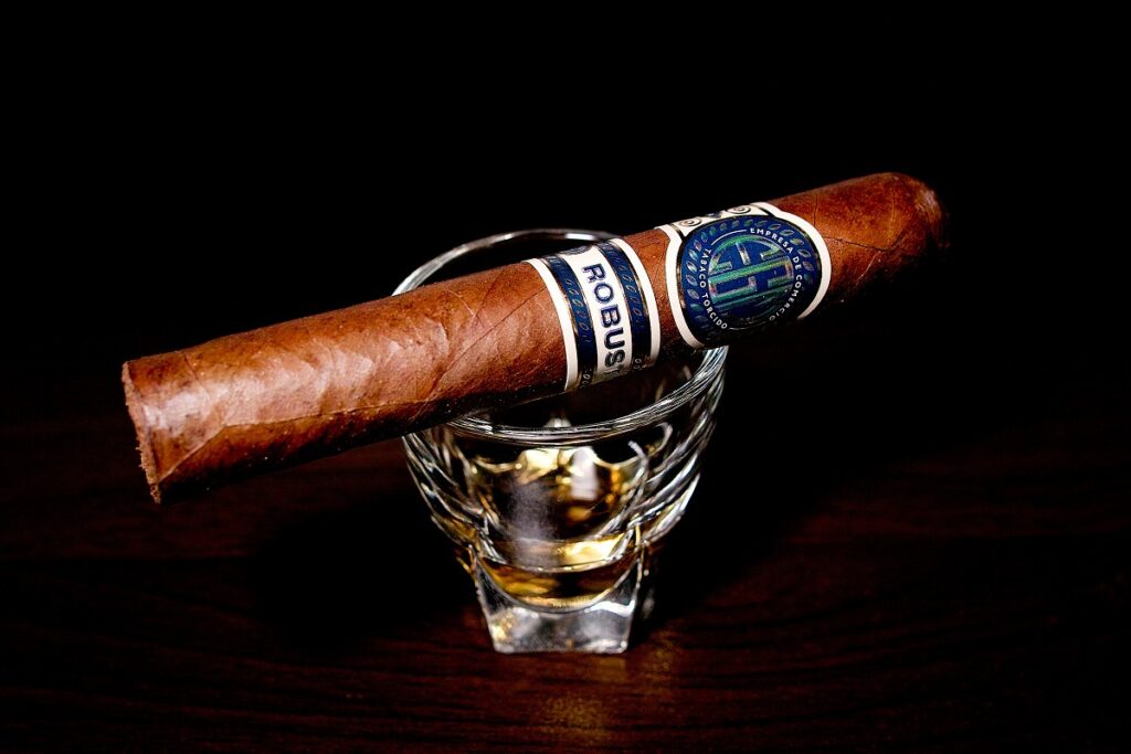EGM ロブストス/EGM Robustos Cigar Review｜葉巻/シガー初心者の喫煙レビューブログ｜ギャラリー3