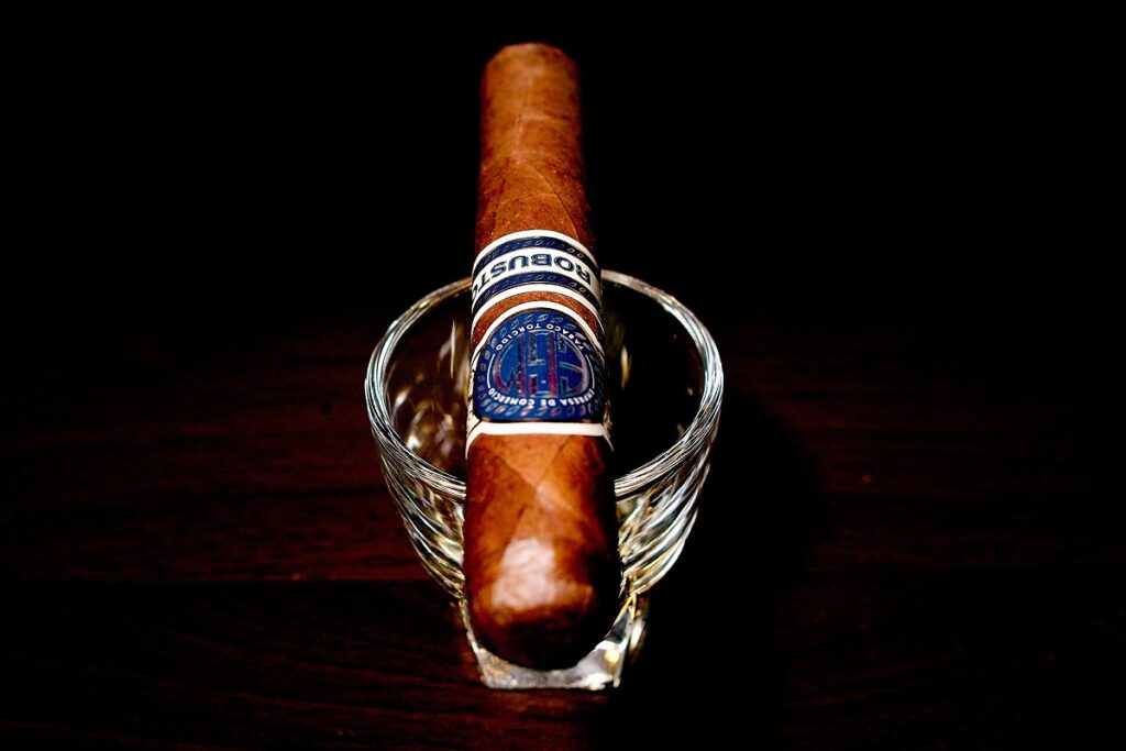 EGM ロブストス/EGM Robustos Cigar Review｜葉巻/シガー初心者の喫煙レビューブログ｜ギャラリー4