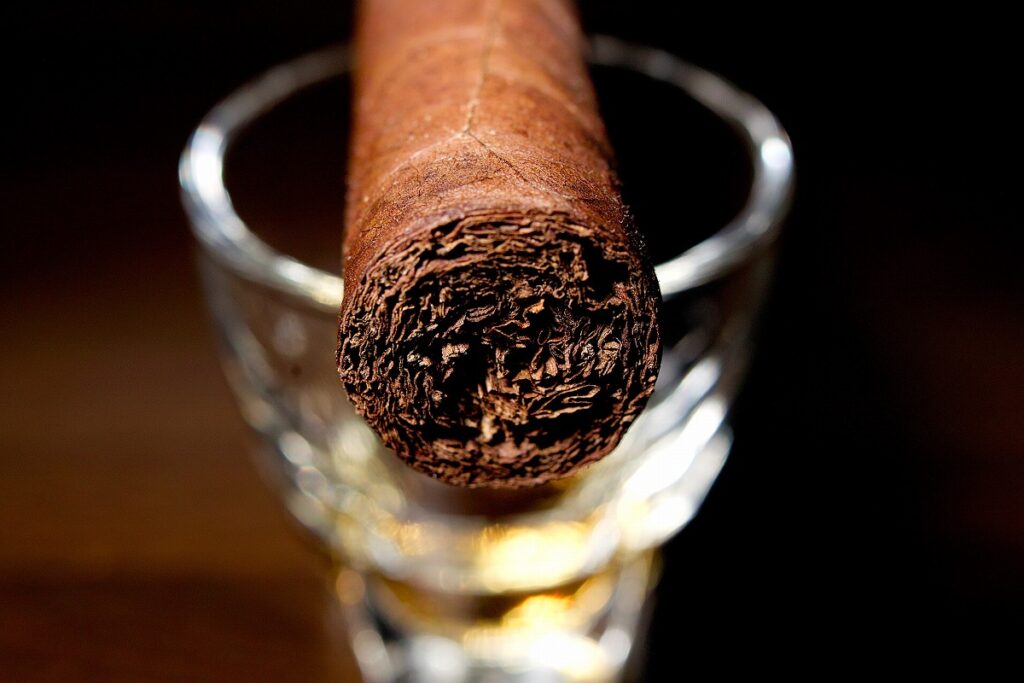 EGM ロブストス/EGM Robustos Cigar Review｜葉巻/シガー初心者の喫煙レビューブログ｜ギャラリー5