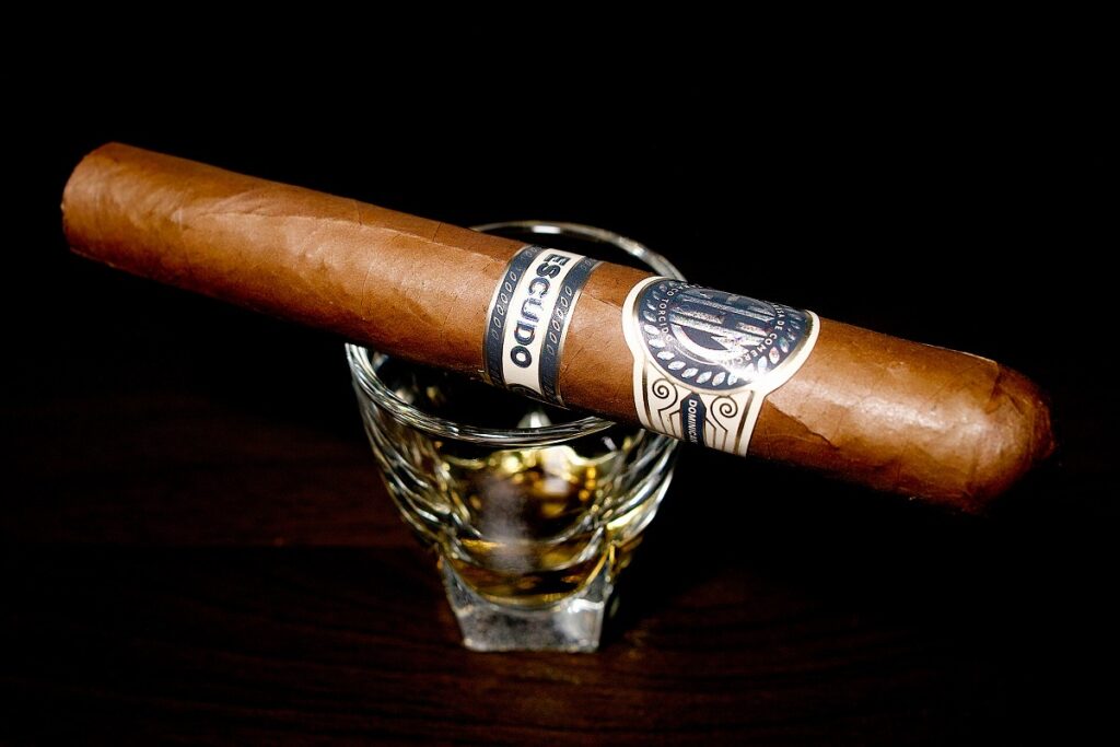 EGM エクスドス/EGM Escudos Cigar Review｜葉巻/シガー初心者の喫煙レビューブログ｜ギャラリー2