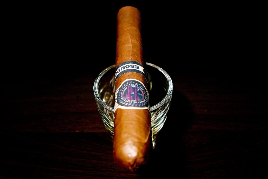 EGM エクスドス/EGM Escudos Cigar Review｜葉巻/シガー初心者の喫煙レビューブログ｜ギャラリー4