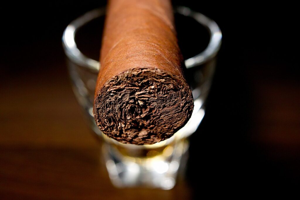 EGM エクスドス/EGM Escudos Cigar Review｜葉巻/シガー初心者の喫煙レビューブログ｜ギャラリー5