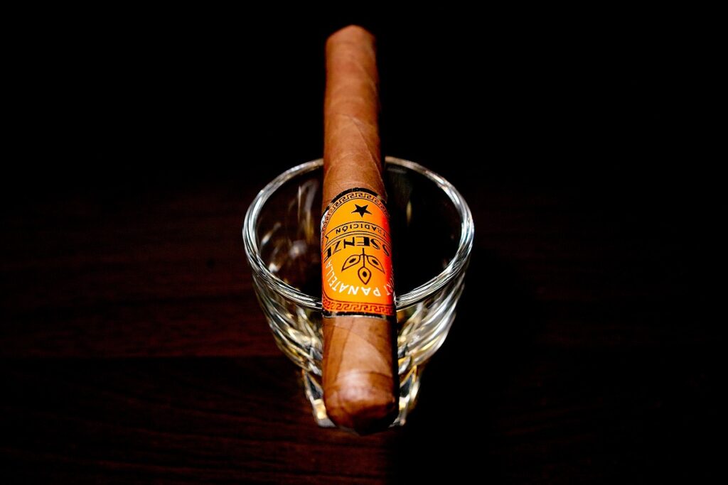 エッセンツェ トラディション ショートパナテラ/Essenze Tradicion Short Panatella Cigar Review｜葉巻/シガー初心者の喫煙レビューブログ｜ギャラリー5