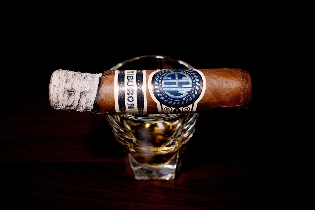 EGM ティブロネス/EGM Tiburones Cigar Review｜葉巻/シガー初心者の喫煙レビューブログ｜喫煙序盤の終わり頃ファーストサード