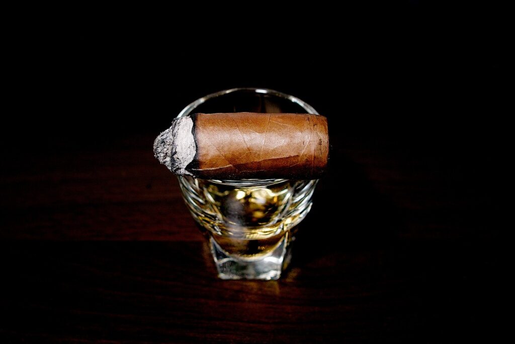 EGM ティブロネス/EGM Tiburones Cigar Review｜葉巻/シガー初心者の喫煙レビューブログ｜喫煙終盤ファイナルサード