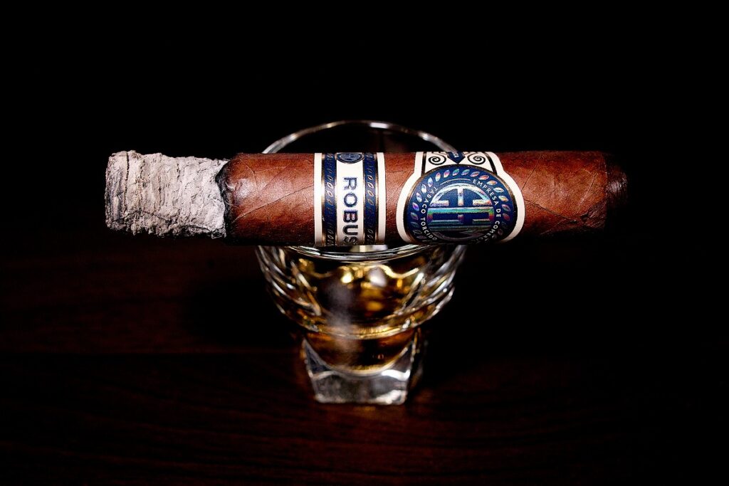 EGM ロブスト/EGM Robustos Cigar Review|葉巻/シガー初心者の喫煙レビューブログ|喫煙序盤の終わり頃ファーストサード