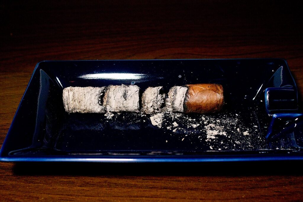 EGM ロブスト/EGM Robustos Cigar Review|葉巻/シガー初心者の喫煙レビューブログ|喫煙終了後ファイナルアッシュ