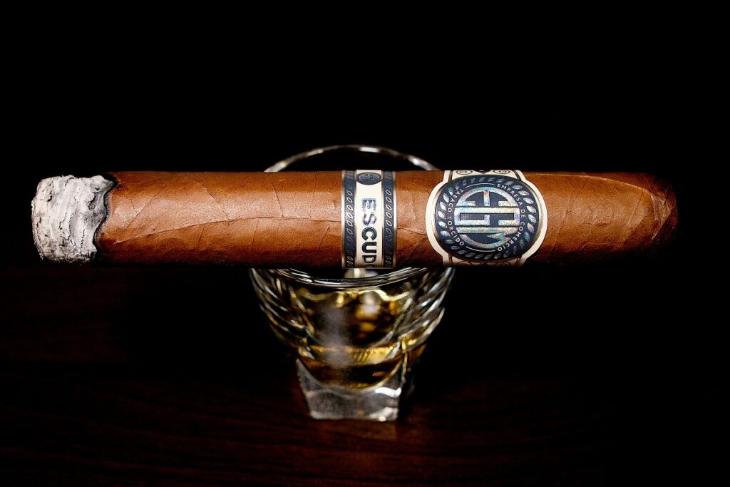 EGM エクスドス/EGM Escudos Cigar Review｜葉巻/シガー初心者の喫煙レビューブログ｜喫煙序盤ファーストサード