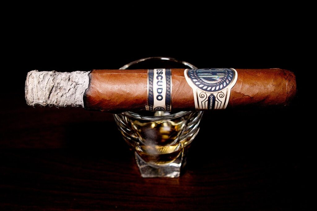 EGM エクスドス/EGM Escudos Cigar Review｜葉巻/シガー初心者の喫煙レビューブログ｜喫煙序盤の終わり頃ファーストサード