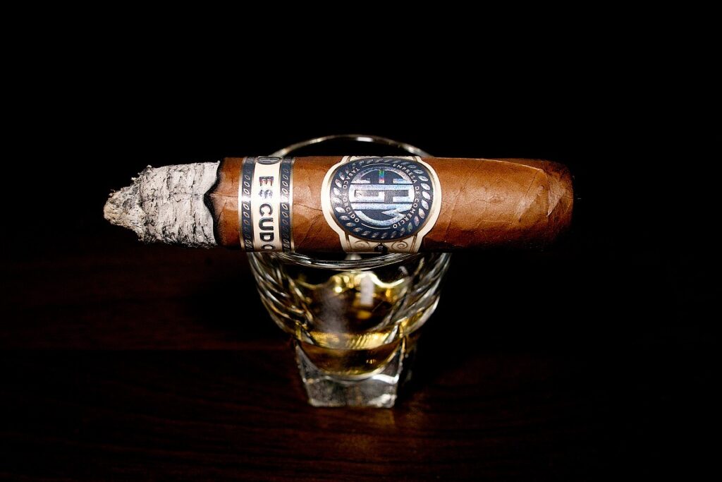 EGM エクスドス/EGM Escudos Cigar Review｜葉巻/シガー初心者の喫煙レビューブログ｜喫煙中盤セカンドサード