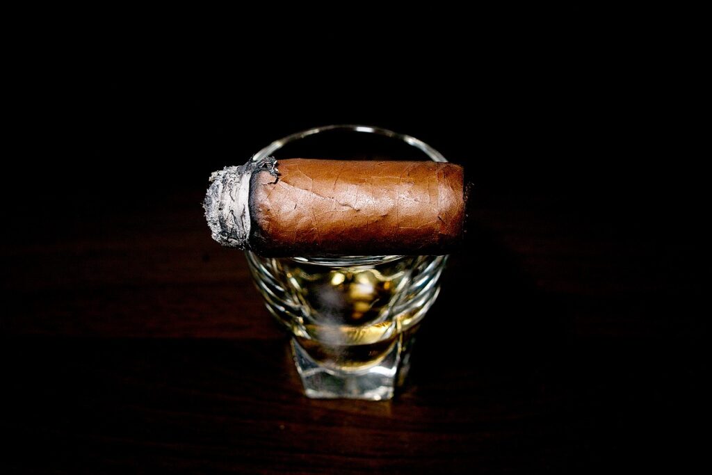 EGM エクスドス/EGM Escudos Cigar Review｜葉巻/シガー初心者の喫煙レビューブログ｜喫煙終盤ファイナルサード