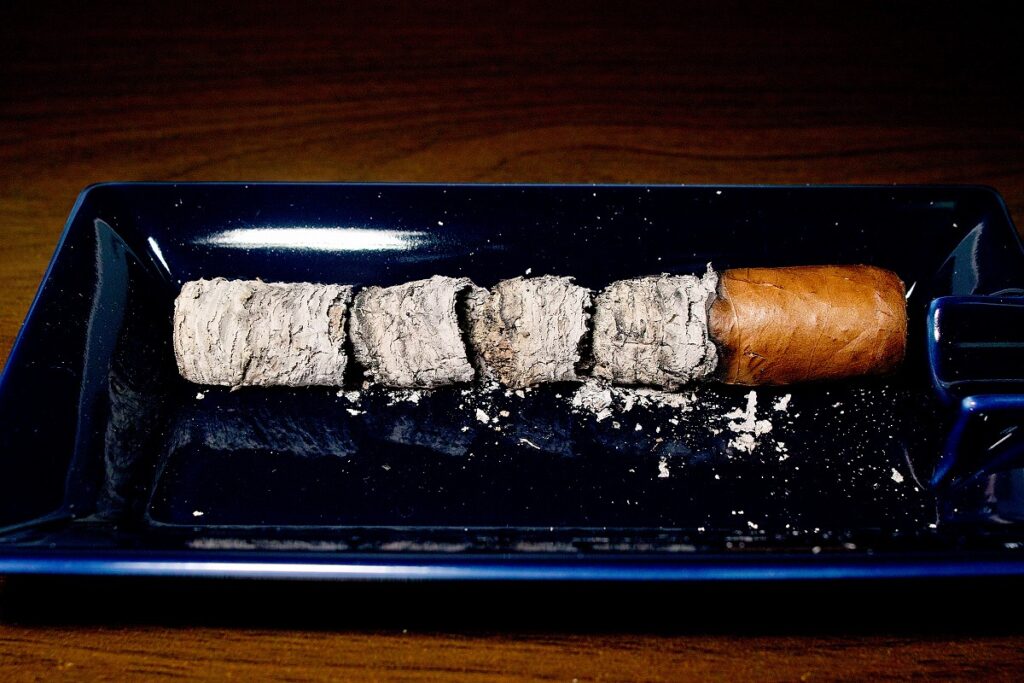 EGM エクスドス/EGM Escudos Cigar Review｜葉巻/シガー初心者の喫煙レビューブログ｜喫煙終了後ファイナルアッシュ