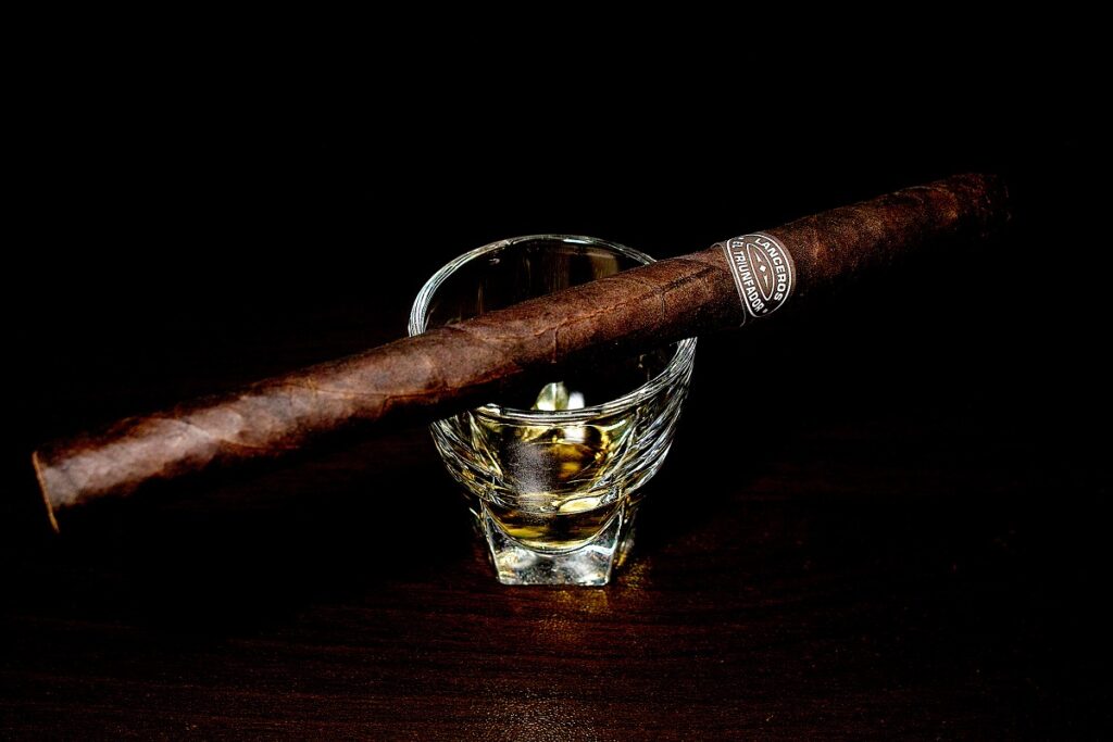 タトゥアヘ エル・トリウンファドール ランセロ オリジナル/Tatuaje El Triunfador Lancero Original Cigar Review｜葉巻/シガー初心者の喫煙レビューブログ｜ギャラリー3