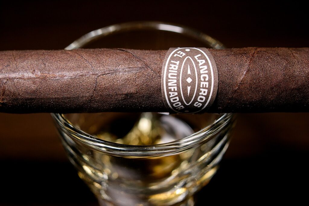 タトゥアヘ エル・トリウンファドール ランセロ オリジナル/Tatuaje El Triunfador Lancero Original Cigar Review｜葉巻/シガー初心者の喫煙レビューブログ｜ギャラリー6