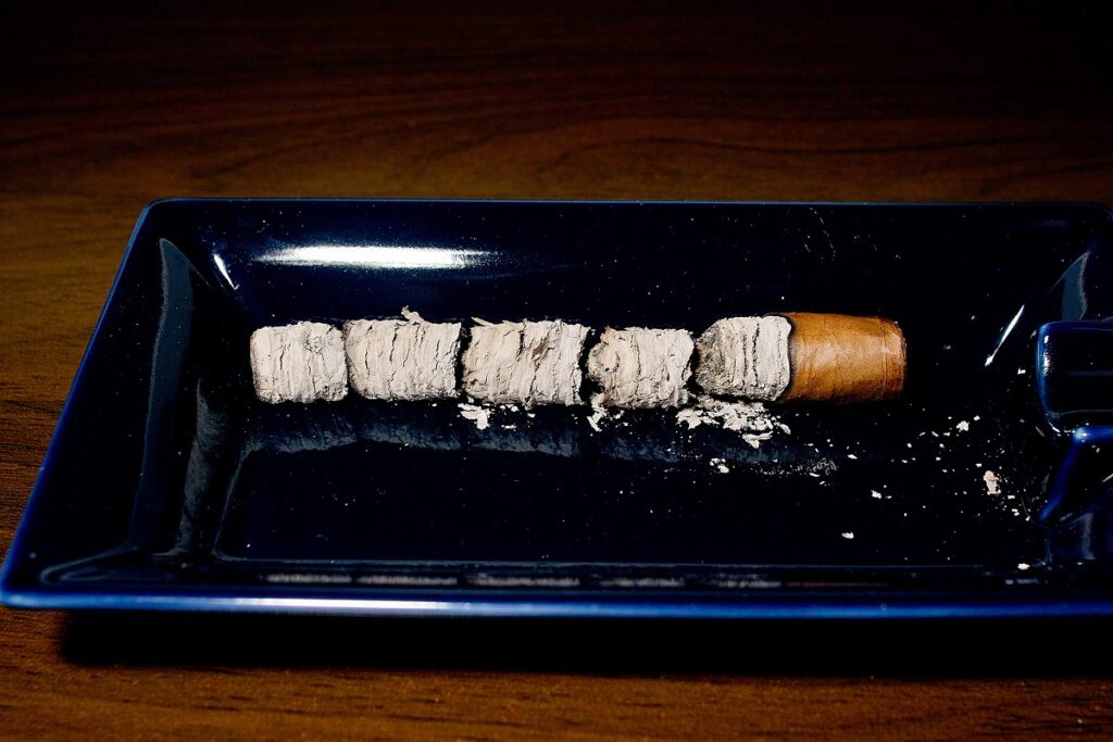エッセンツェ トラディション ショートパナテラ/Essenze Tradicion Short Panatella Cigar Review|葉巻/シガー初心者の喫煙レビューブログ|喫煙終了後ファイナルアッシュ