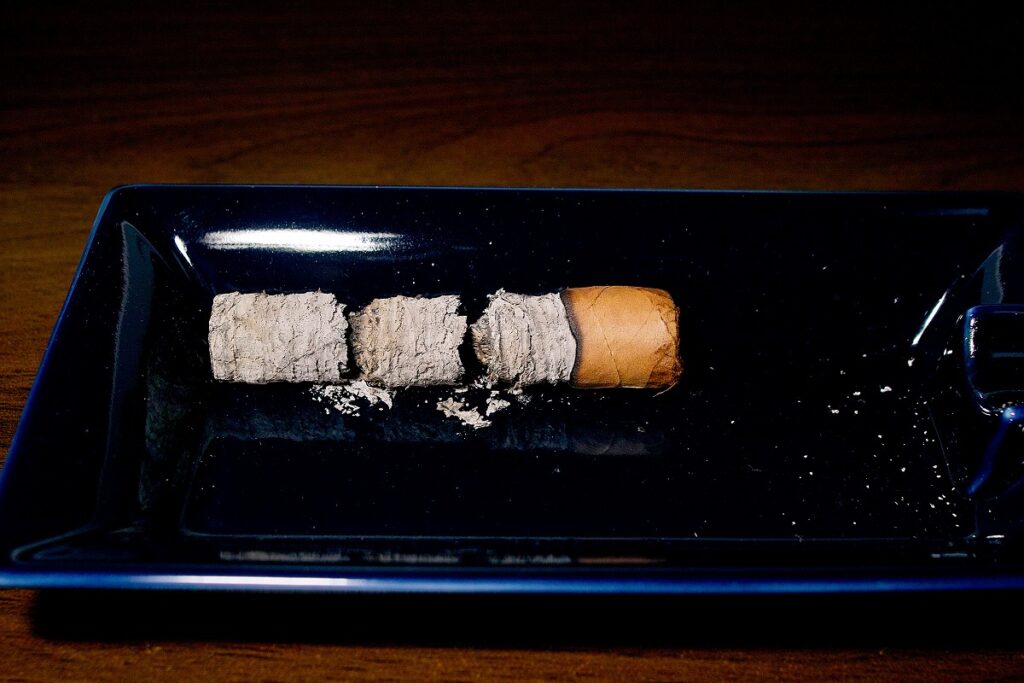 ロイヤル・スローン アンバサダー ハーフコロナ/Royal Throne AMBASSADOR Half Corona Cigar Review｜葉巻/シガー初心者の喫煙レビューブログ｜喫煙終了後ファイナルアッシュ