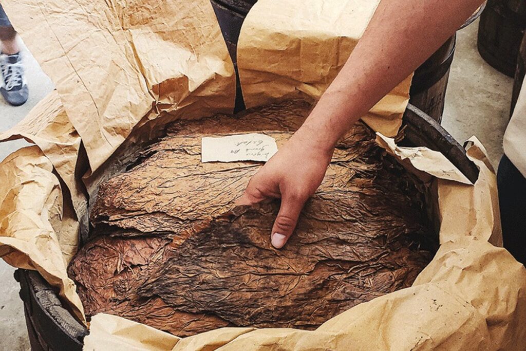 タバコ葉の熟成方法からヒントを得た葉巻の自家製発酵器熟成とは？｜自家製発酵器熟成｜葉巻熟成方法とその考え方3