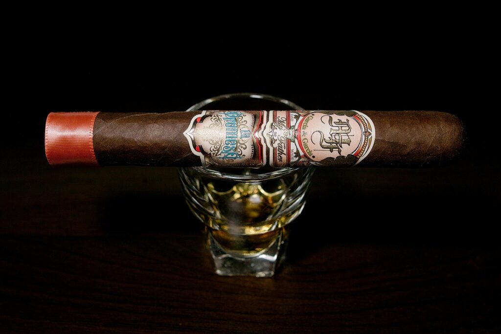 マイファーザー ラ・プロメサ コロナコルダ/My Father La Promesa Corona Gorda Cigar Review｜葉巻/シガー初心者の喫煙レビューブログ｜ギャラリー1